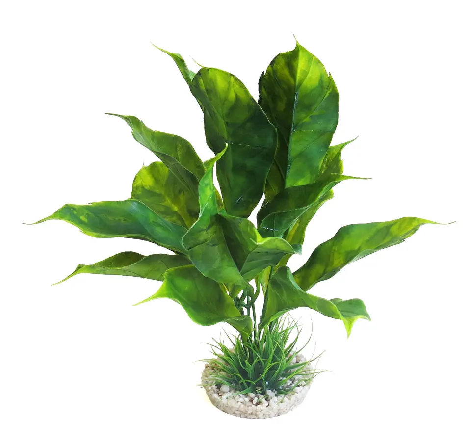 Sydeco Planta Anubias Plant 28 cm 380347