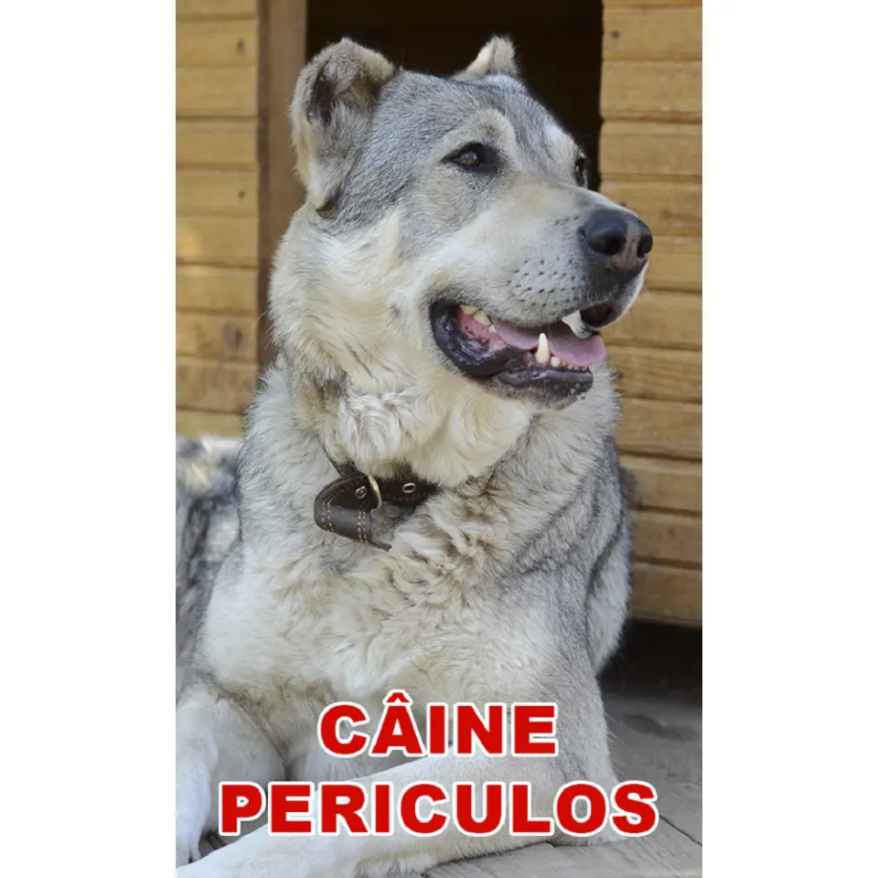 Indicator caine periculos Cobanesc Asia Centrala