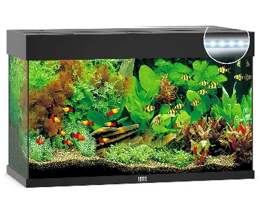 Juwel Acvariu Led Rio 125 Negru