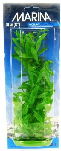 Marina Plante Hygrophila 30 cm PP1213