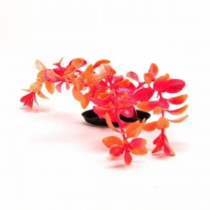 Marina Planta Color Red Ludwigia 30 cm PP1249