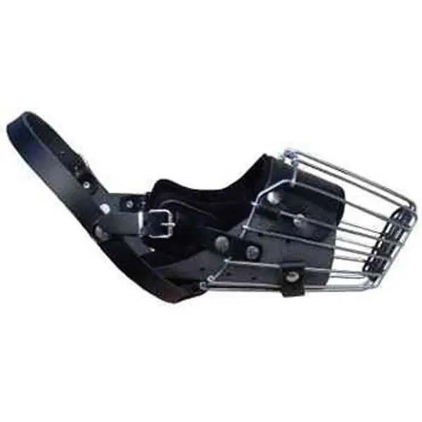 Dingo Botnita Metal Pitbull 4159