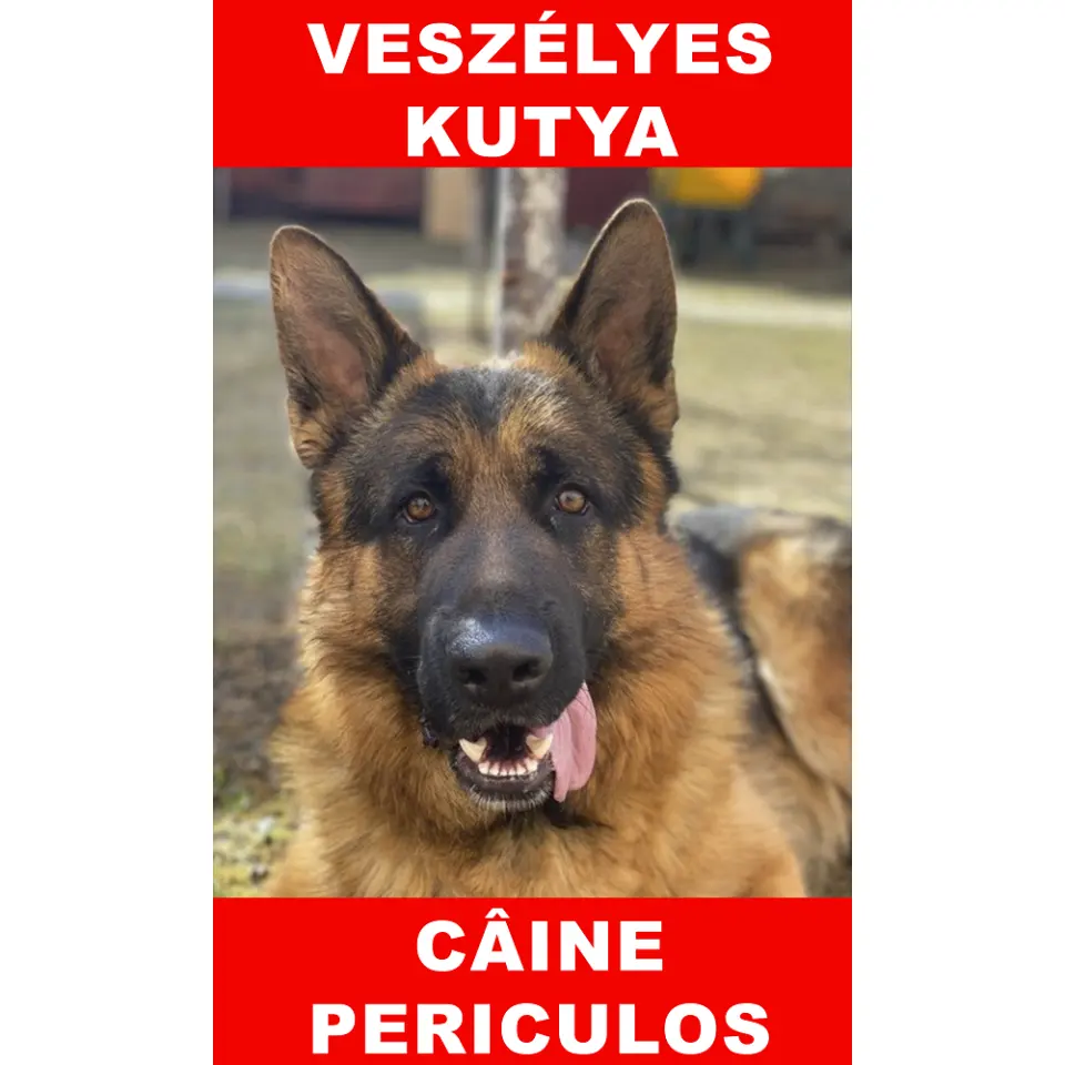 Indicator caine periculos C German Bilingvă