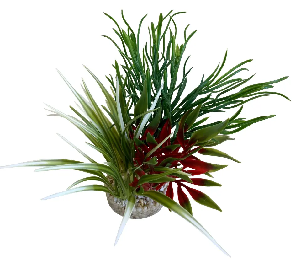 Sydeco Planta Aqua Oasis 24 cm 385007