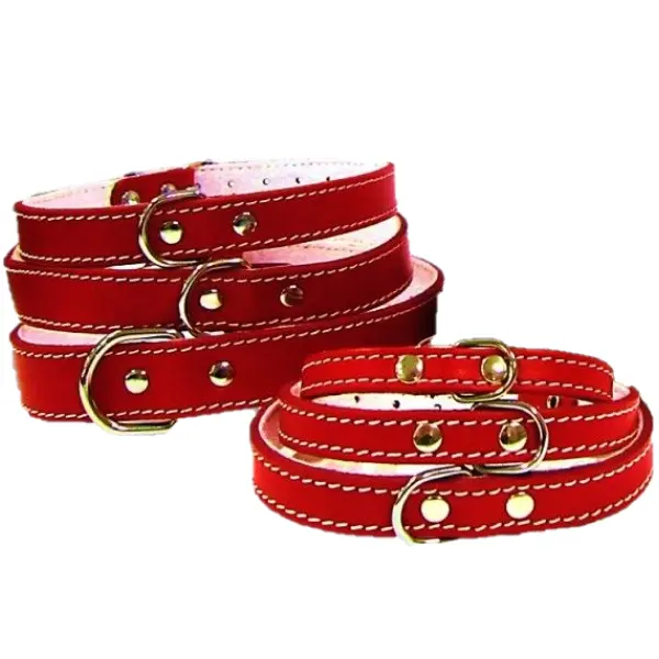 Pet Expert Zgarda Pasla Rosu - nr-1