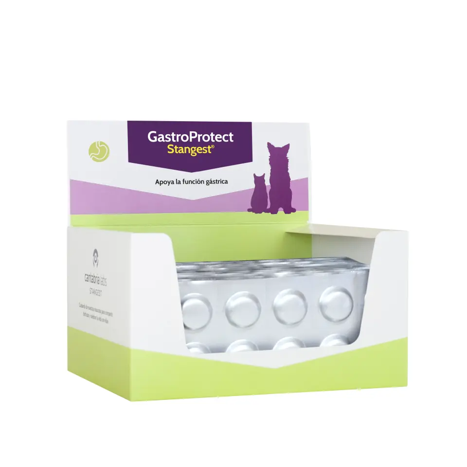 Gastroprotect, STANGEST, Blister, Pachet 2 X 10 tablete