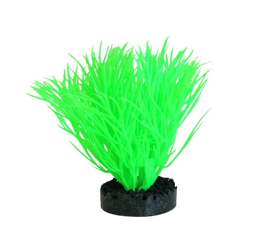 Sydeco Planta Sunny Plant 11 cm 380163