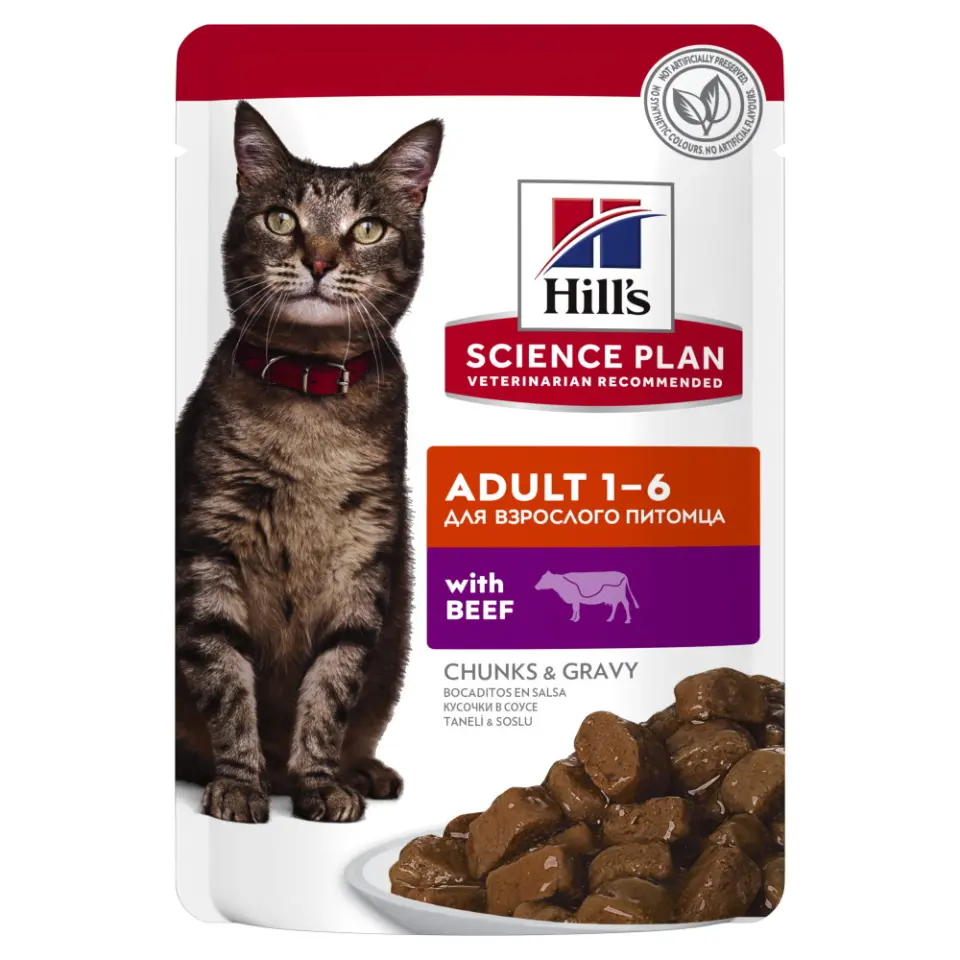 Hills SP FELINE ADULT BEEF 12x85 G (PLICURI)