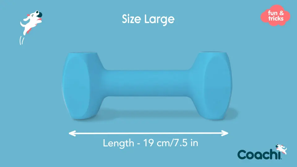Coa Jucarie Dresaj Coachi Dumbell Large 41412A