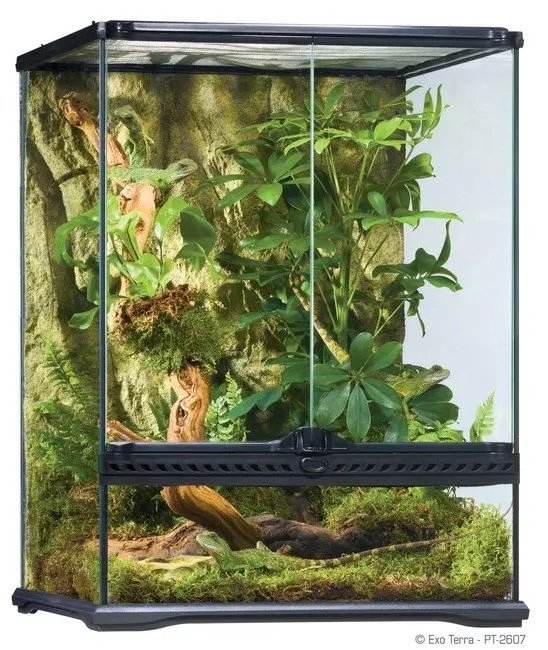 Exo Terra Terariu Sticla 45X45X60 cm PT2607