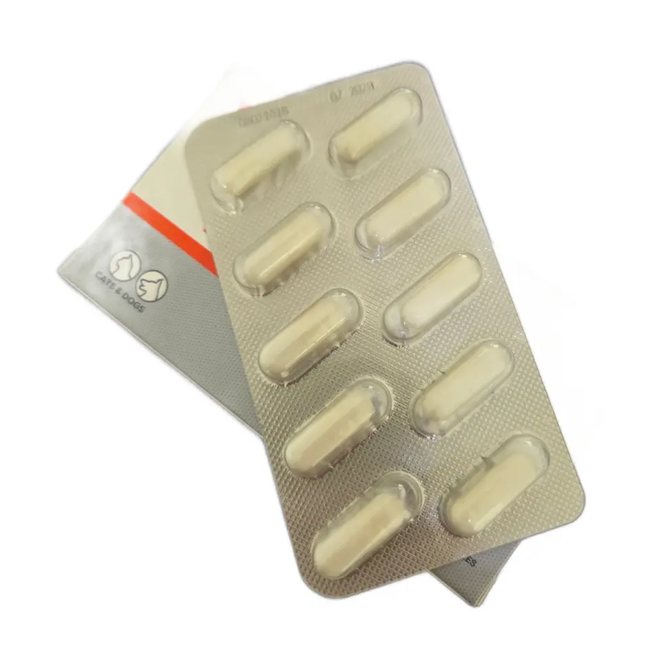 BioProtect, capsule probiotice pentru caini si pisici