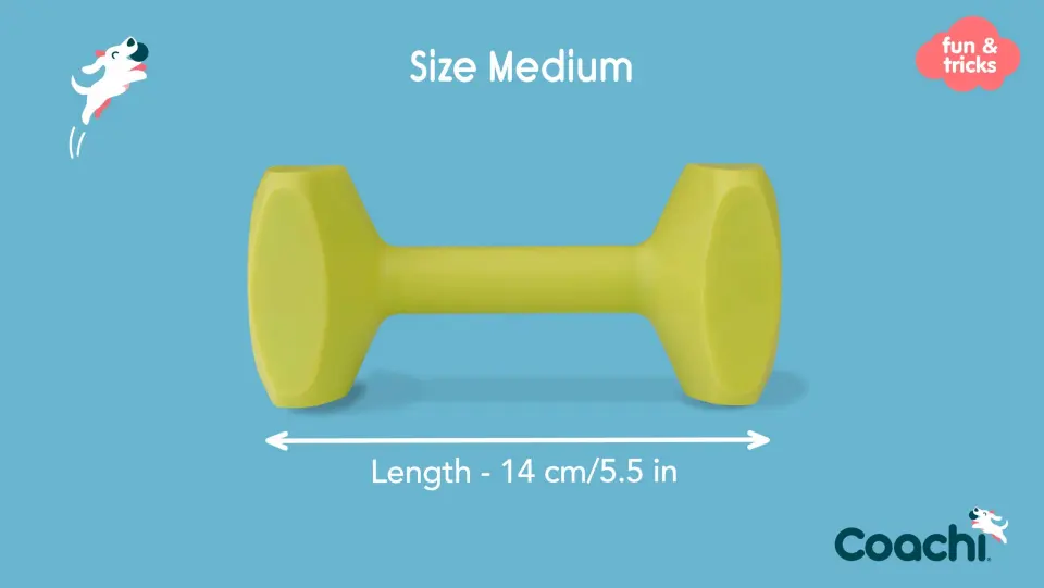 Coa Jucarie Dresaj Coachi Dumbell Medium 41411A