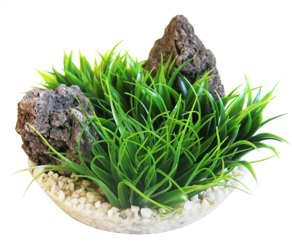 Sydeco Planta Arizona Vivarium 9 cm 385109