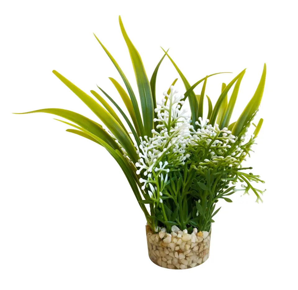 Sydeco Planta Nano Fiesta Flower 12 cm 380091