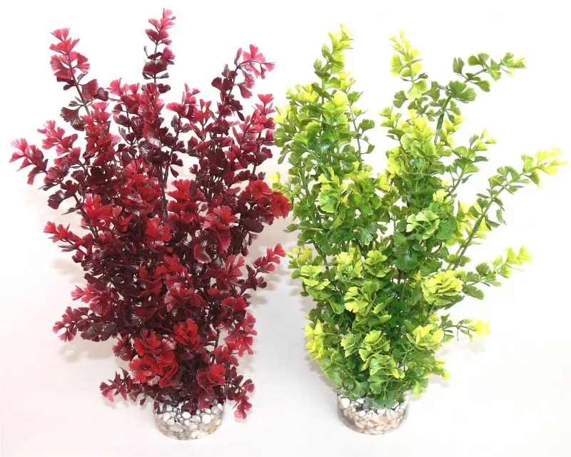 Sydeco Planta Butterfly XL 36cm 350151