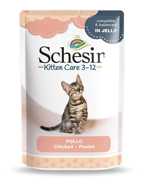 Hrana umeda pisici, Schesir Kitten Chicken Fillets in Jelly, 85 g