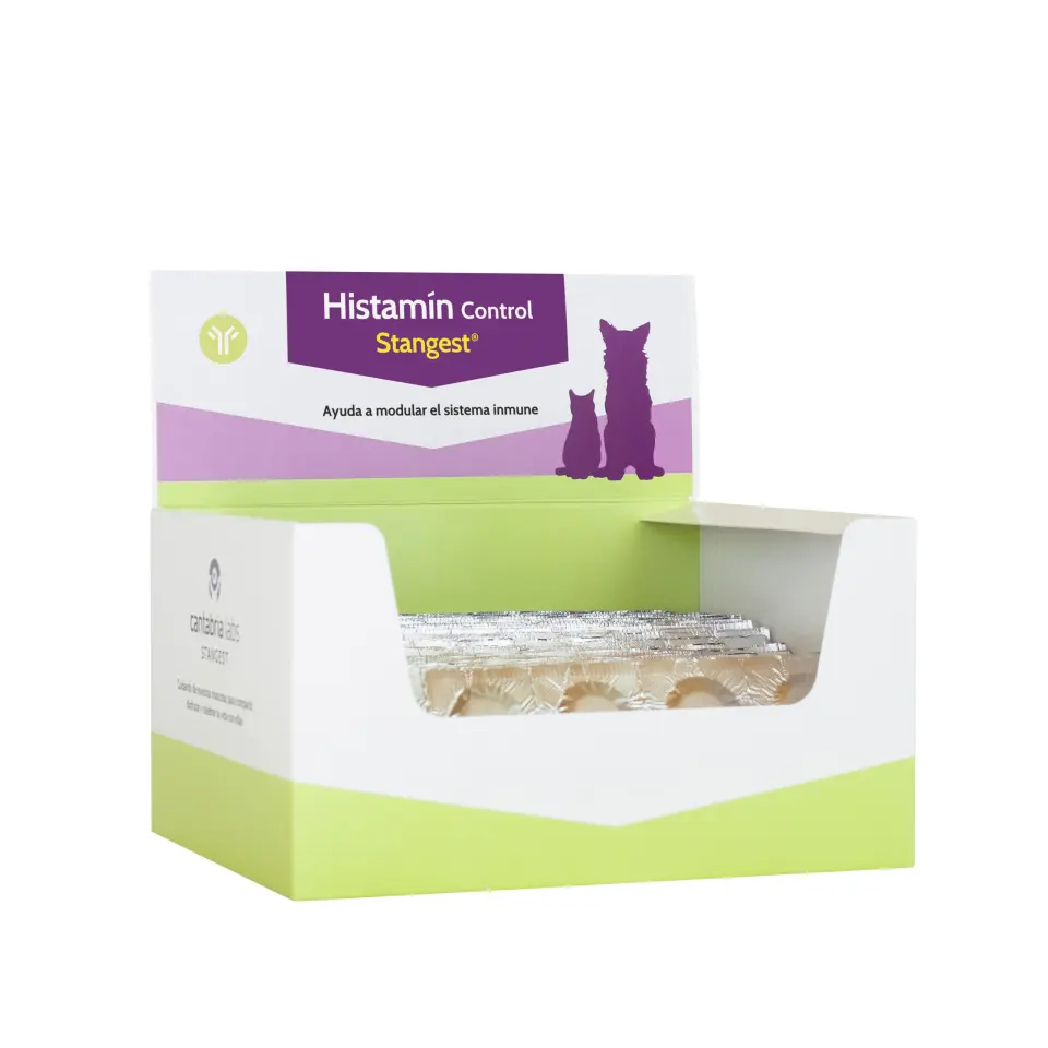 HISTAMIN Control - Blister 10 Tabs
