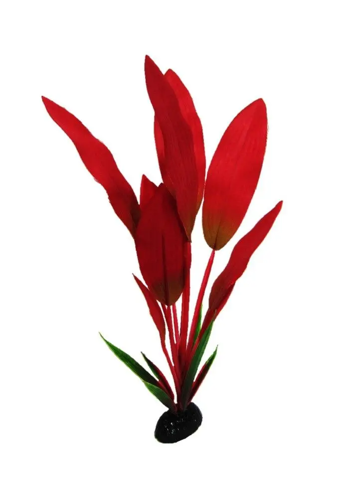 Resun Planta Matase Amazon Red 20 cm