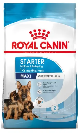 Royal Canin Maxi Starter Mother & BabyDog - 15-kg