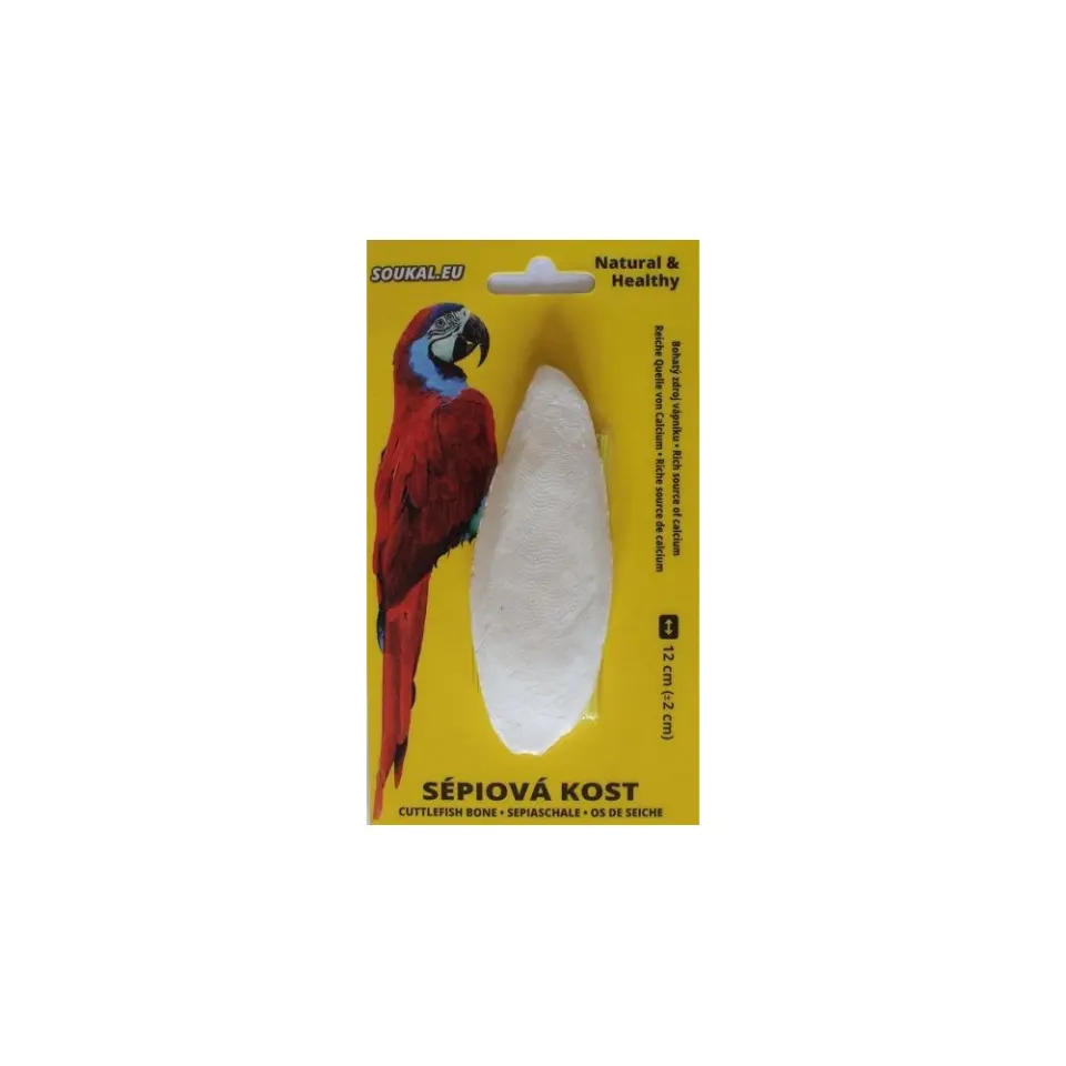 Os sepie cca 12 cm