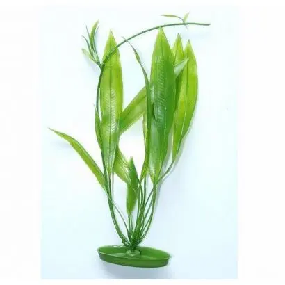 Marina Planta Amazon Sword 30 cm PP1201
