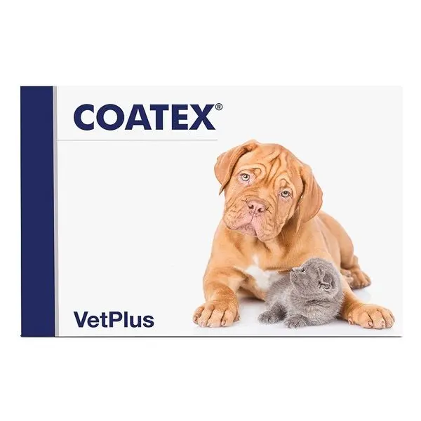 Coatex, 60 capsule