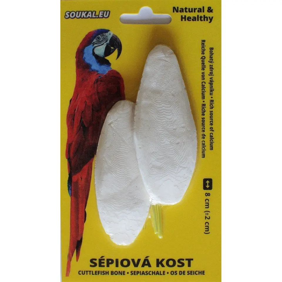 Os sepie 2 buc - 8 cm