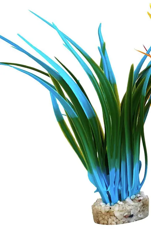 Sydeco Planta Papyrus Medium 15 cm 350145