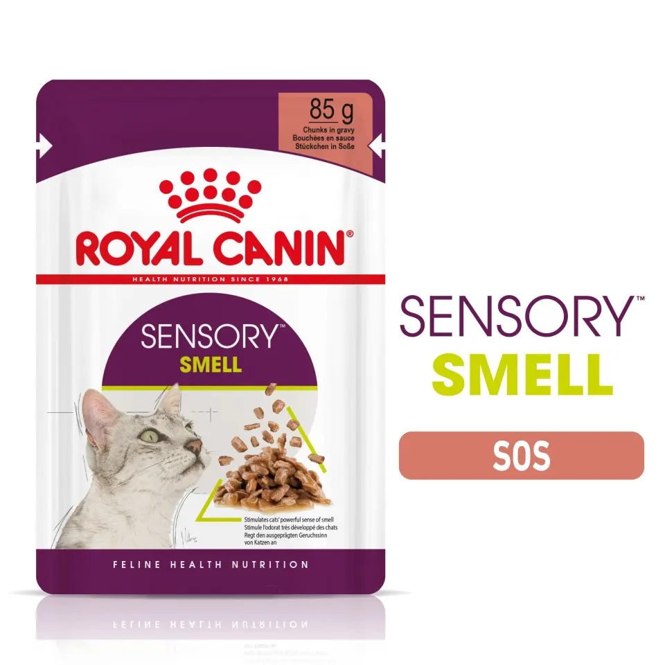 Royal Canin Sensory Smell, hrana umeda pisici, stimularea mirosului (in sos), 85 g