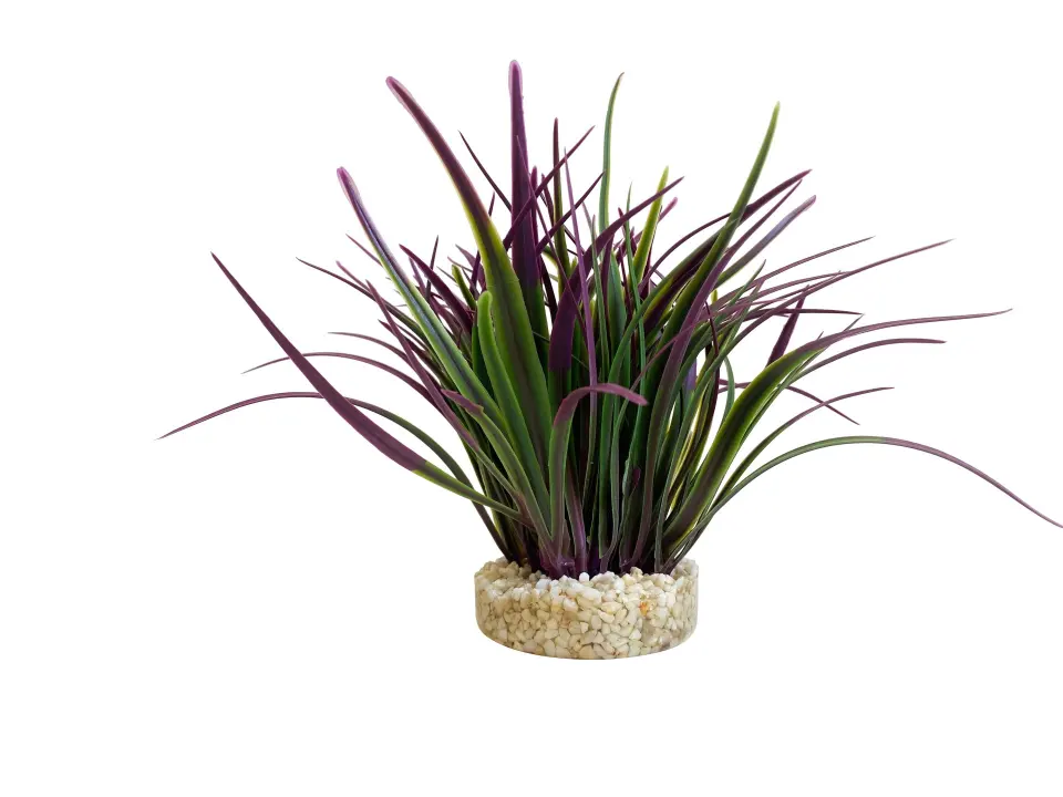 Sydeco Plante Amazonia 22cm 349617