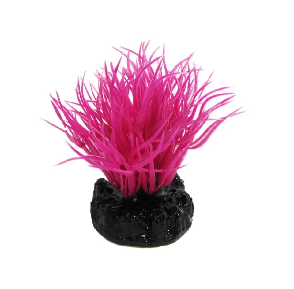 Resun Sea Grass Fuchsia 10