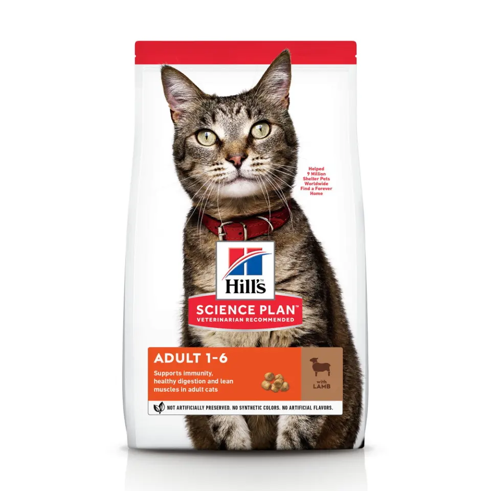 HILLS SP FELINE ADULT L&R 10 KG