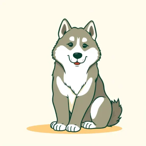 Desen Alaskan Malamute
