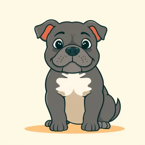 Desen American Bully