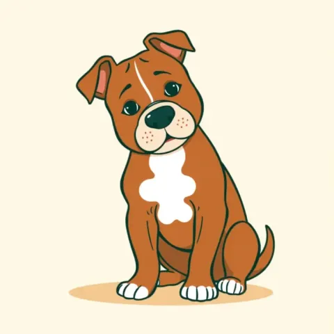 Desen American Pit Bull Terrier