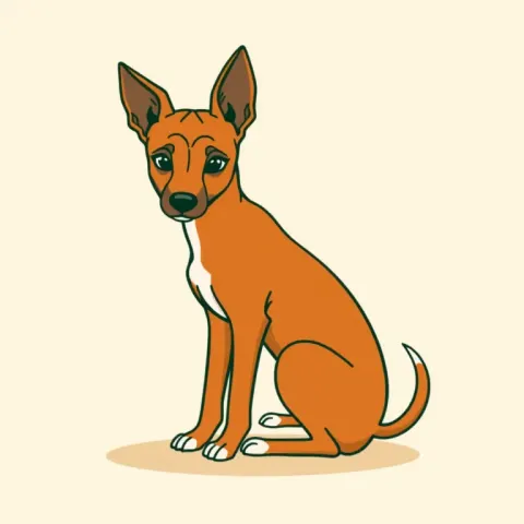 Desen Basenji
