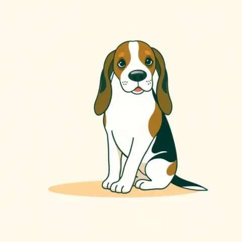 Desen Basset Artésien Normand