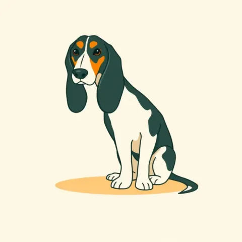 Desen Basset Bleu de Gascogne