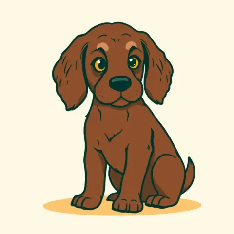 Desen Boykin Spaniel