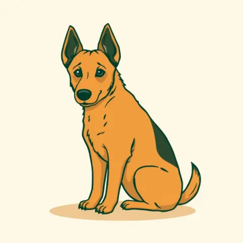 Desen Buhund Norvegian