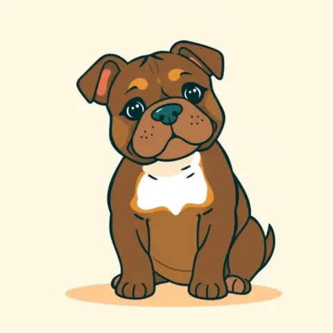 Desen Bulldog Campeiro