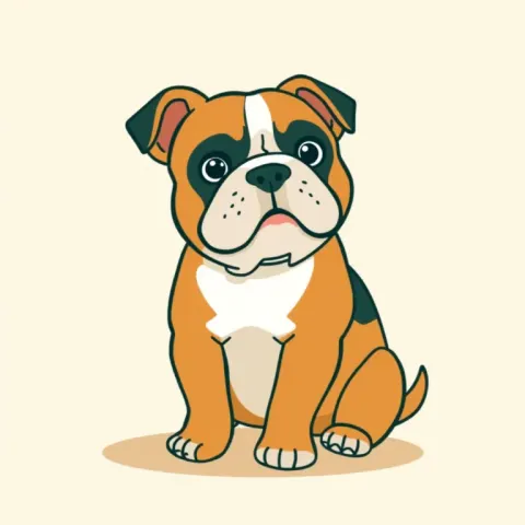 Desen Bulldog Continental