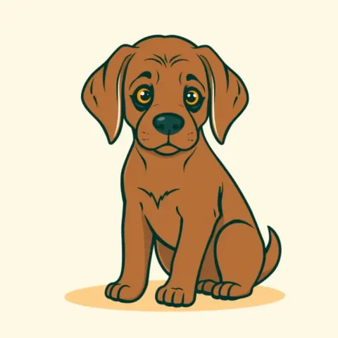 Desen Chesapeake Bay Retriever