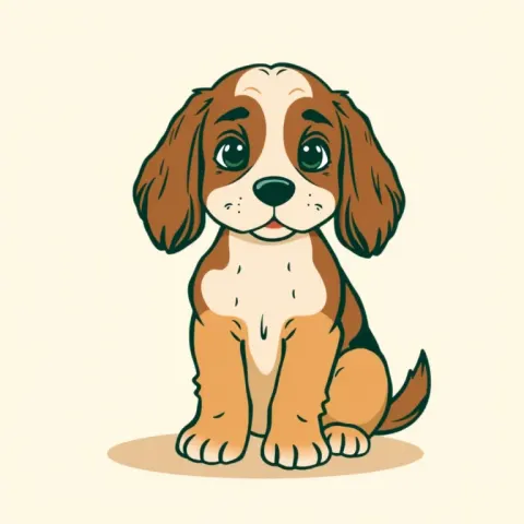 Desen Cocker Spaniel American