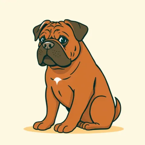 Desen Dog de Bordeaux