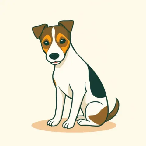 Desen Fox Terrier cu Păr Neted