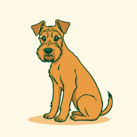 Desen Griffon Fauve de Bretagne