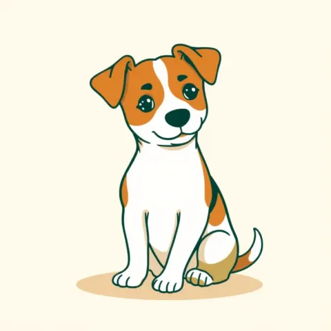 Desen Jack Russell Terrier