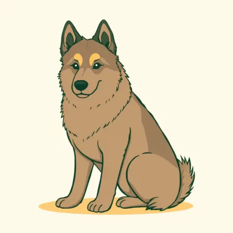 Desen Keeshond (Wolfspitz)