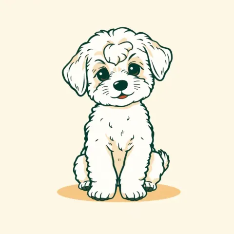 Desen Maltipoo